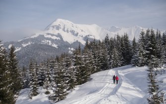 Winterwandern in der Naturparkregion Reutte | © Jörg Koopmann, Tirol Werbung