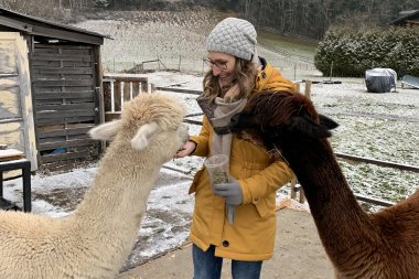 Fütterung der Lamas/Alpakas | © Theresa Schrötter
